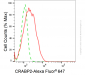 KD-Validated Anti-CRABP2 Rabbit Monoclonal Antibody